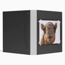 Camel Binder