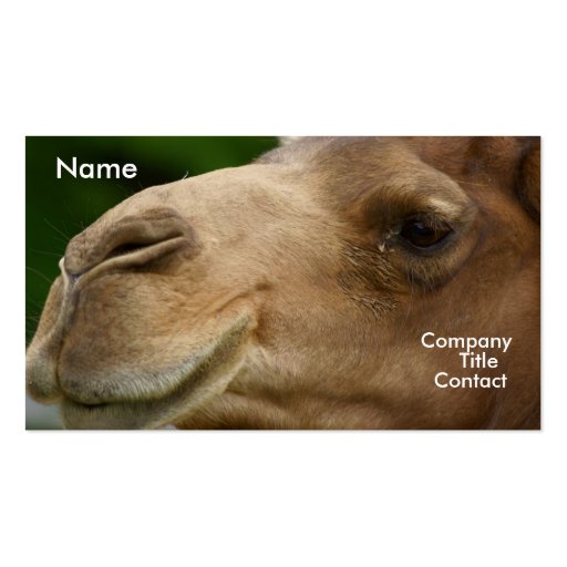 Camel Business Card