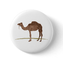 Camel Buttons