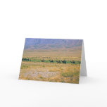 Camel caravan card