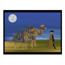 Camel Caravan Post Cards