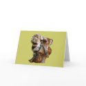 Camel cards by kphotos Camel cards