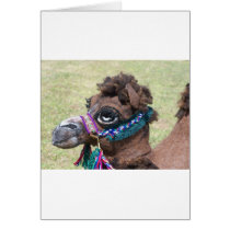 Camel Card