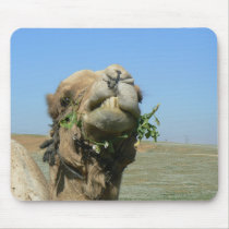 Camel chewing flowers mousepads by Yarijik Camel chewing flowers mousepads