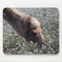 Camel chewing flowers mousepads by Yarijik Camel chewing flowers mousepads