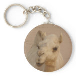 Camel close up keychains