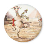 Camel Dance magnets