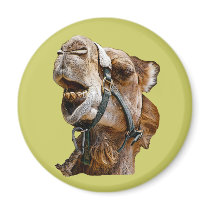 Camel Drawing Magnet