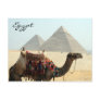 camel egypt pyramid post card