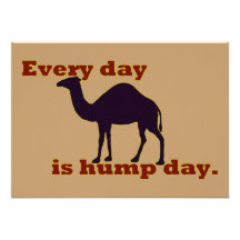 Camel "Every Day is Hump Day" Invitation