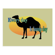 Camel - Every Day is Hump Day postcards