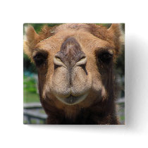 Camel Face Pinback Button