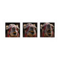 Camel Faces posters by Bensterama42 Camel Faces posters