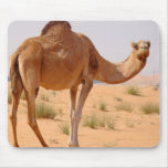 Camel for Arabs Mouse Pad mousepads