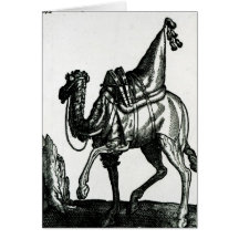 Camel Greeting Cards