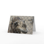 Camel Hello card