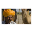 Camel Herder in Rajasthan posters