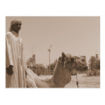 Camel herder post card