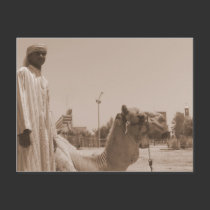 Camel herder postcards