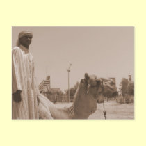 Camel herder postcards