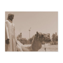 Camel herder postcards