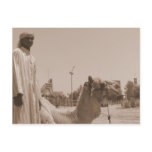 Camel herder post card