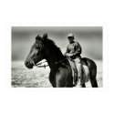 Camel Herder posters by eliorart Camel Herder posters