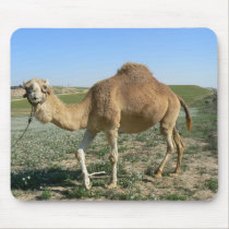 Camel in a green blossoming field mousepads by Yarijik Camel in a green blossoming field mousepads