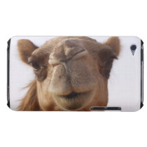 Camel iTouch Case Ipod Case-mate Case