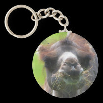 Camel (Junior) keychains