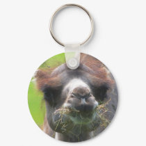 Camel (Junior) keychains by jdmphotography Camel (Junior) keychains