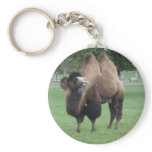 camel keychains