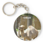 Camel Keychain