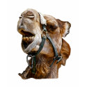 Camel Kids T-Shirt by kphotos Camel Kids T-Shirt