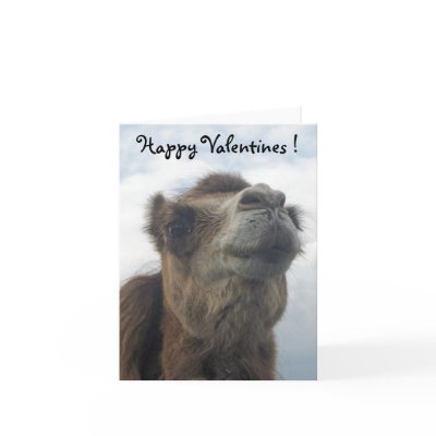 Camel kiss card by katmal