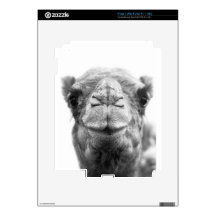 Camel Kisses Fun Closeup Photo iPad 2 Decal