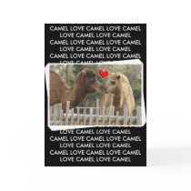 Camel LOVE - NO BOUNDARIES cards by WildOnes Camel LOVE - NO BOUNDARIES cards
