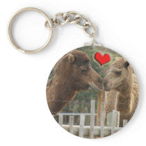 Camel LOVE - NO BOUNDARIES Key Chains