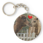Camel LOVE - NO BOUNDARIES keychains