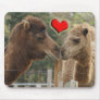 Camel LOVE - NO BOUNDARIES Mouse Mat