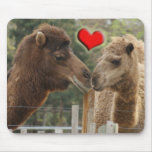 Camel LOVE - NO BOUNDARIES mousepads