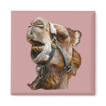 Camel Fridge Magnet
