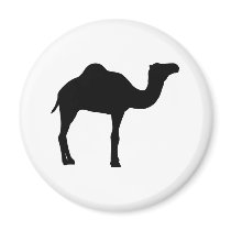 Camel Refrigerator Magnet