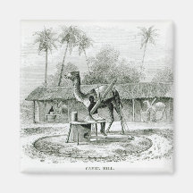Camel Mill, from 'Travels in Africa' Refrigerator Magnet