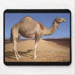Camel Mousepad