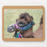 Camel Usepad