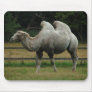 Camel Mousepad