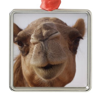 camel ornament