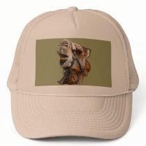 Camel Picture Hat hats
