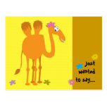 Camel Postcard